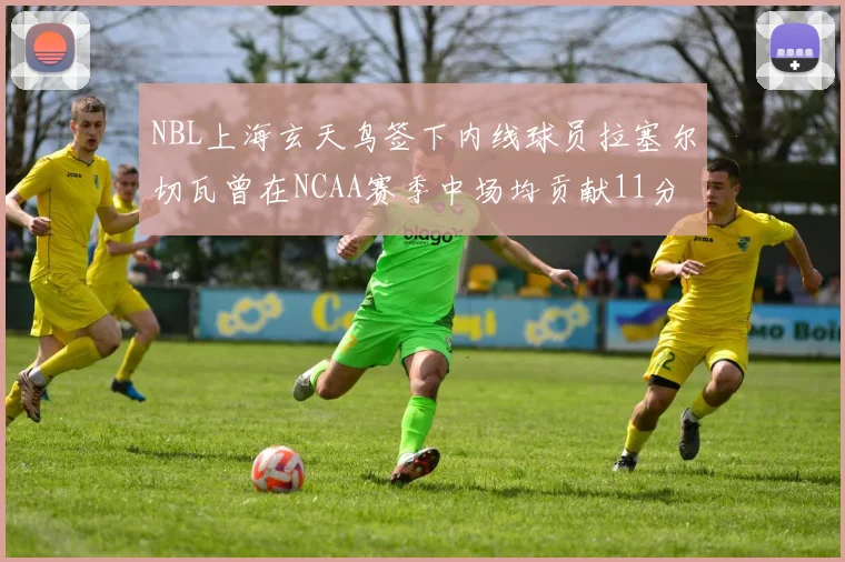 NBL上海玄天鸟签下内线球员拉塞尔切瓦曾在NCAA赛季中场均贡献11分8篮板