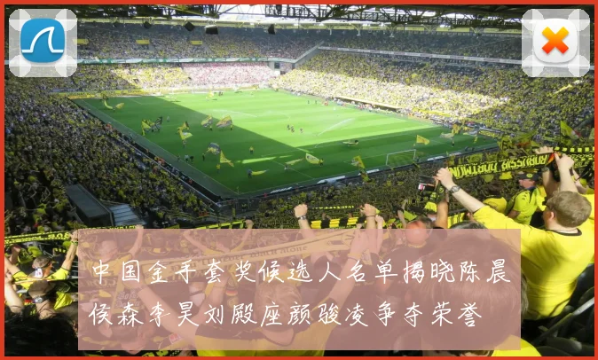 中国金手套奖候选人名单揭晓陈晨侯森李昊刘殿座颜骏凌争夺荣誉