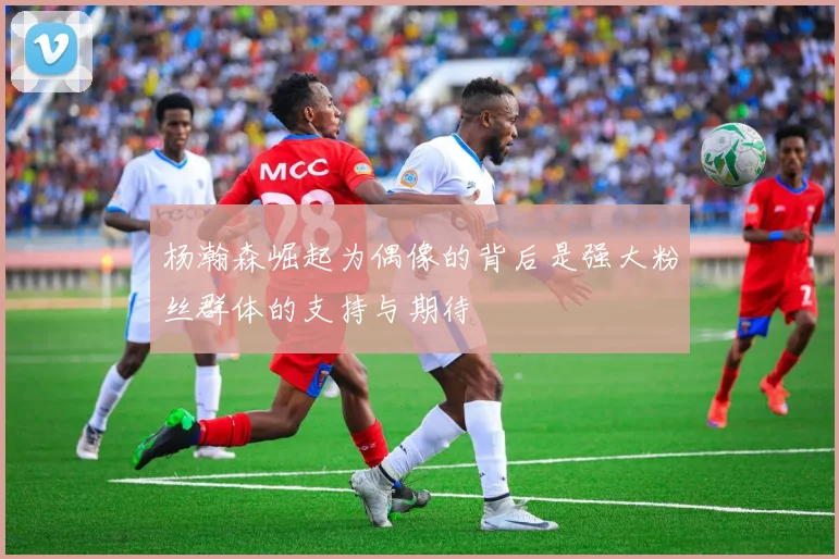 杨瀚森崛起为偶像的背后是强大粉丝群体的支持与期待