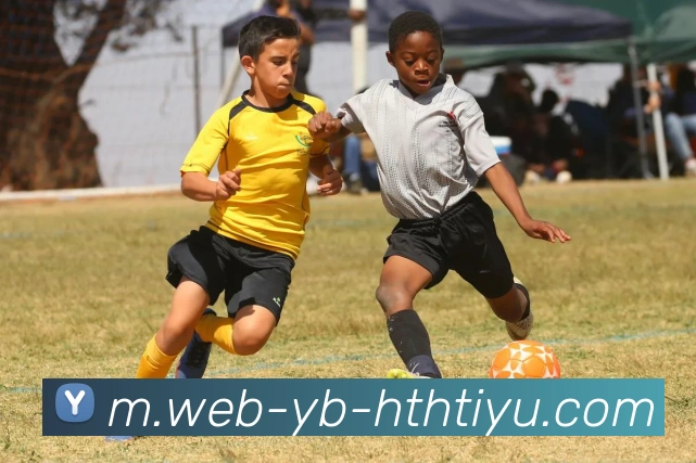 华体会体育平台生态图