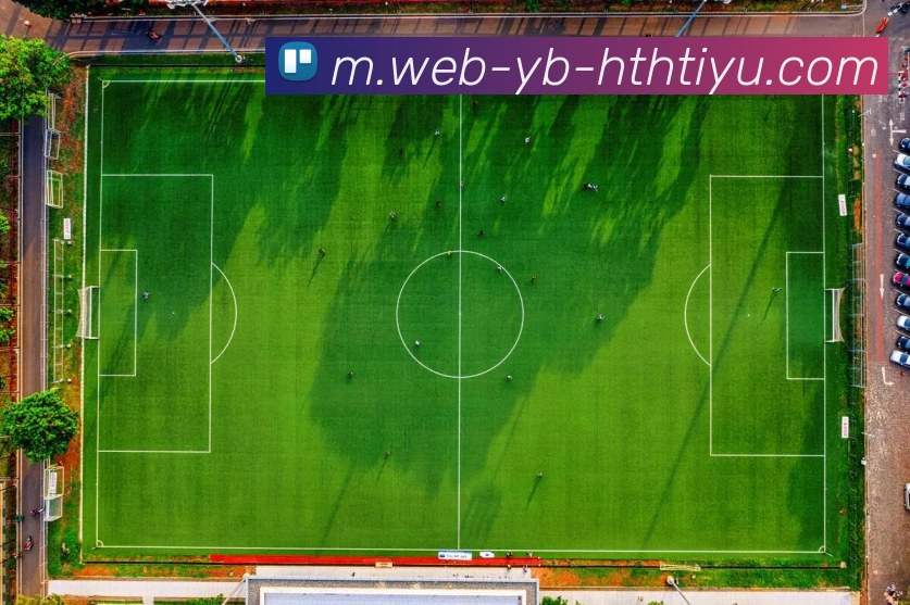 华体会体育APP 封面图